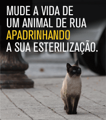 apadrinhar