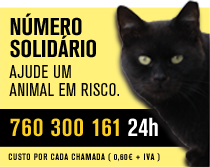 número solidário